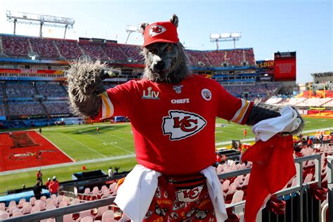 The Dynamic Storyteller: KC Wolf's Journey from a Mascot to a Cultural Symbol